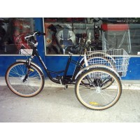 Sp-e-Bikes max Carrier II